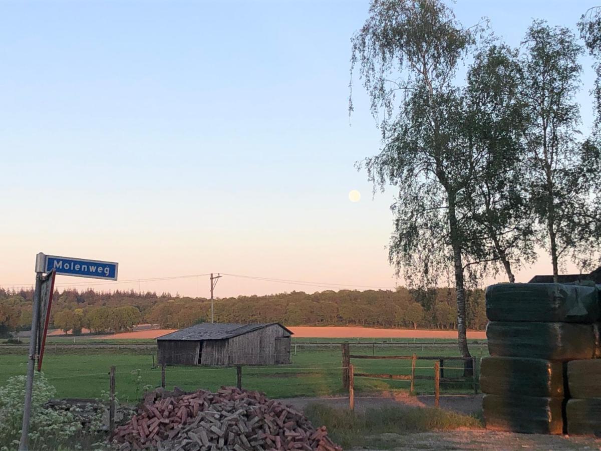 卢特伦De Gouden Wilg住宿加早餐旅馆 外观 照片